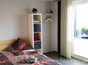 Loewenzahn(3)   